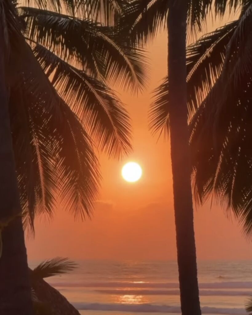 la saladita mexico surf camp longboard retreat